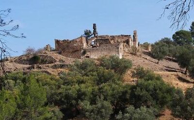 Oude wijnmakerijen in het ‘oerwoud’ van de montes de malaga